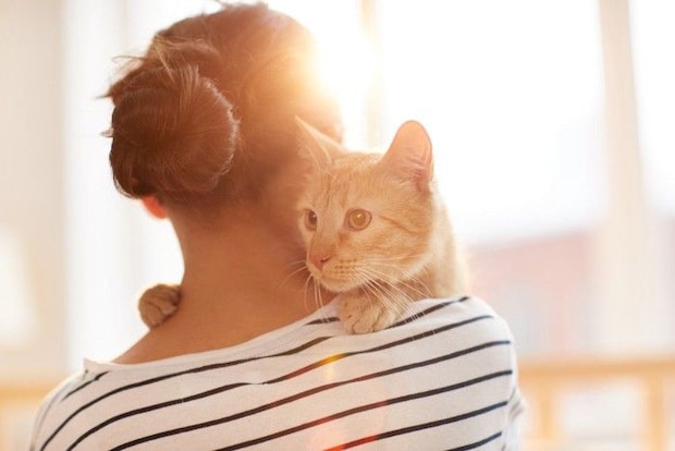 抱っこされている猫