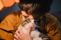 猫の『輪廻転生』についての通説4つ　亡くなった愛猫と再会できる？生まれ変わりを感じる瞬間とは