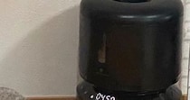 自動給餌器からごはんが出てくるのを待っていた猫…可愛すぎる『まさかの光景』に１万いいね「直接受け止めるつもりなのかｗ」「合理的ｗ」