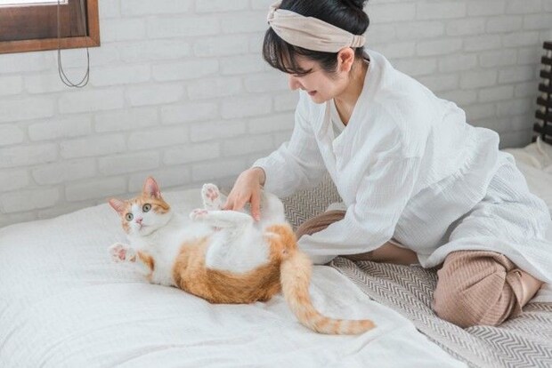 猫と遊ぶ女性