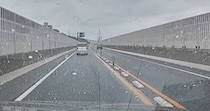 車の運転中、道路の端に『小さな子猫』を発見…驚きの瞬間と保護された『現在の様子』に感動の声「よく気が付いてくれた」「ありがとう」