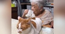 おばあちゃんが口をゆすごうとしたら、『目の前にいた猫』が…ハプニングの瞬間が178万再生「ラブラブすぎｗ」「電車で笑ってしまったｗ」