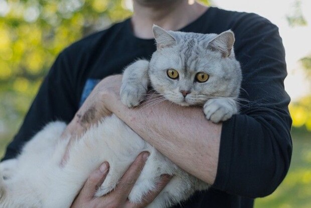 猫と男性