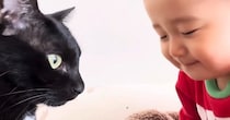 赤ちゃんのことが大好きな猫→いつもそばにいて…あまりにも尊い『相思相愛な光景』に「本当にすごい」「ずっと仲良しでいてほしい」と反響
