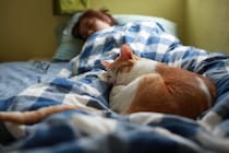 猫と『一緒に寝る』ときの絶対NG行為4つ　危険な事故の可能性や安全を守る工夫