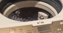 洗濯機に入った猫→飼い主が中を覗くと……ビックリしてしまう瞬間に15万いいね「本気を感じるｗ」「思わず叫んでしまったｗ」と話題に