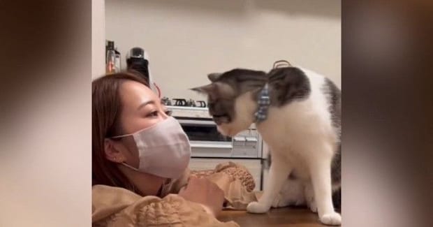 飼い主が『布マスク』をつけて待っていると…猫がとった『まさかの行動』に「可愛すぎて涙が出る」「めちゃめちゃ羨ましい」と21万再生