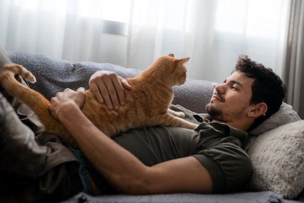 男性のおなかに乗る猫