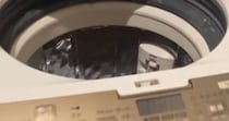洗濯機に入った猫→飼い主が中を覗くと……ビックリしてしまう瞬間に15万いいね「本気を感じるｗ」「思わず叫んでしまったｗ」と話題に