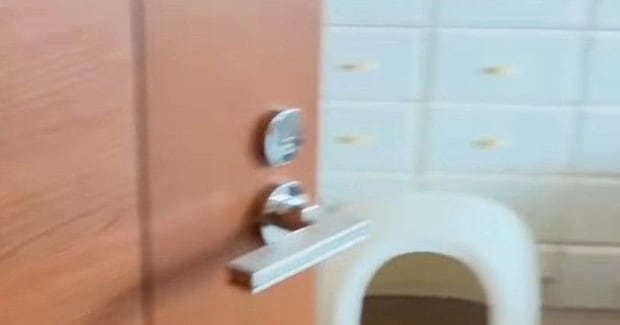 来客に驚いて隠れてしまった猫→『寝室』を覗いてみると…尊すぎる光景が20万再生「上手に入れたねw」「何回叫んでも足りないくらい可愛い」