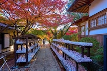 猫好きにはたまらない『猫にまつわる聖地』8選　猫島や神社など魅力あふれる名所をご紹介