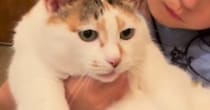 女の子が『大きな猫』を抱っこしようとした結果…泣けるほど可愛い『ふたりのやり取り』が141万再生「逃げないのが凄いｗ」「顔が似てる」