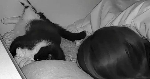 夜中の寝ているときの様子を『ペットカメラ』で確認したら…愛猫がとった行動に「あかん泣く」「尊すぎて涙が出てきた」と６万いいね