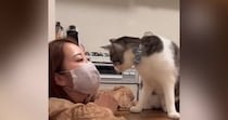 飼い主が『布マスク』をつけて待っていると…猫がとった『まさかの行動』に「可愛すぎて涙が出る」「めちゃめちゃ羨ましい」と21万再生