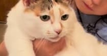 女の子が『大きな猫』を抱っこしようとした結果…泣けるほど可愛い『ふたりのやり取り』が141万再生「逃げないのが凄いｗ」「顔が似てる」