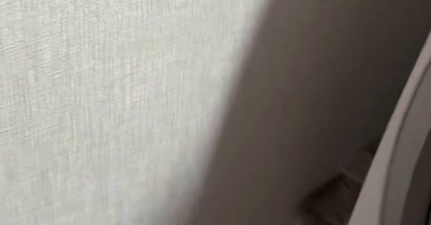 掃除機をかけていると、『狭い隙間』に…猫たちがとった『可愛すぎる行動』に癒される人が続出「重なってるww」「笑っちゃったw」