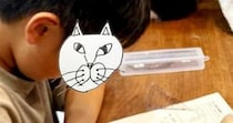 ７匹の猫が暮らす家→『勉強中の息子』の周りを見ると…集中力が凄すぎる『驚きの光景』に３万いいね「情報量が多い」「耐えられるのすごい」