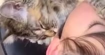 猫を優しく抱き寄せて寝かしつける女の子……涙が出るほど『尊い光景』に１万いいね「手の動きがまさにお母さん」「お互い大好きなんだね」