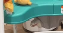 『赤ちゃん用のおもちゃ』を設置したら、ネコが……尊すぎる『まさかの光景』が195万再生「使いこなしてるｗ」「楽しそうで何よりｗ」