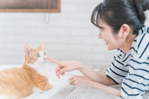 猫が人に『挨拶』をしているサイン4選　気付いてあげたい仕草や上手な返し方まで