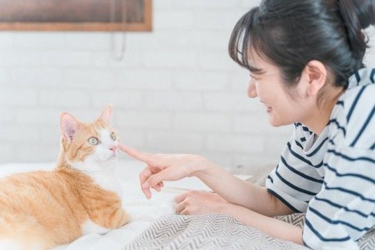 猫が人に『挨拶』をしているサイン4選 気付いてあげたい仕草や上手な返し方まで