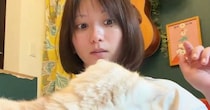 パソコン作業中、近くにいた愛猫→何度も『猫吸い』をしていると…笑ってしまう展開に１万いいね「スイッチ押しちゃったｗ」「吸いすぎ注意ｗ」