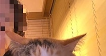 隣に来た愛猫に『撮るよー』と声をかけた結果…想定外な『可愛すぎる反応』に４万いいね「尊すぎて涙が出る」「返事してくれるのいいね」