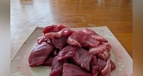 マグロの切り身を食べようと、テーブルの上に置いた結果→『目の前』を見ると…まさかの光景に９万いいね「期待しかない表情ｗ」「圧がすごい」
