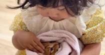 保護子猫を抱っこする『2歳の女の子』、まるで小さなお母さんのようで…尊すぎる光景に「心が洗われた」「何度も見てしまった」と80万再生