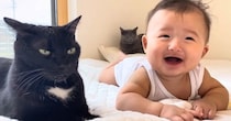 生まれたときからずっと一緒の赤ちゃんと猫…本当の兄弟のように育った『2年間の記録』が116万再生「最高の兄猫」「涙なしには見られない」