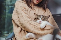 猫が落ち着ける『正しい抱っこ』のポイント5つ　嫌がってしまう理由や避けるべき抱き方まで