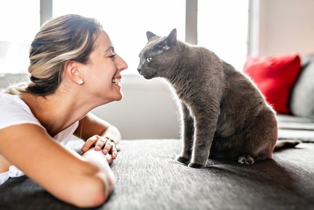 笑顔の女性と戸惑う猫