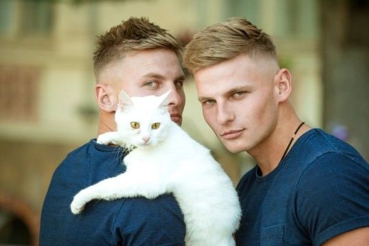 猫はどのように『飼い主と他人』を見分けているの?5つの判別ポイントや方法を解説