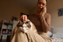 猫に関する悩みを『相談できる窓口』3つ　飼い方や健康面…困ったときに頼れるサポート先