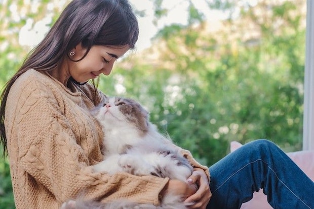 座っている女性の腕に抱かれる猫