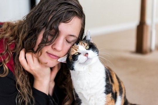猫が『あなたの愛情』を受け取っているときのサイン5つ 幸せを感じている証?絆をより深める応え方も