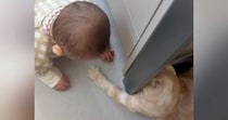 足元を見ると、赤ちゃんと猫が遊んでいて…とんでもなく可愛い『やり取り』が18万再生「優しさマックス」「永遠に遊んでいられるねｗ」