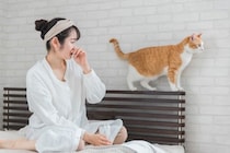 猫の飼い主が『育猫ノイローゼ』を引き起こす原因4つ　心の負担を減らすコツや改善策