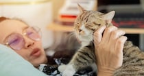 高齢化で支出が拡大傾向に　「愛する猫のための市場」が急成長　香港