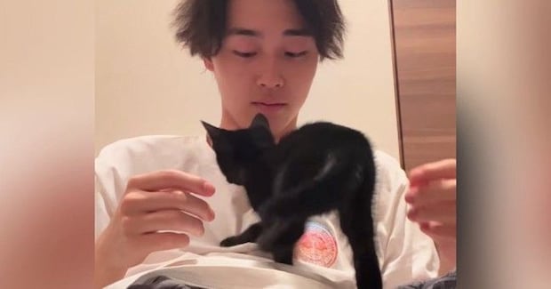保護子猫たちが家に来てわずか"5分後"…完全に想定外な『可愛すぎる行動』が14万再生「安心できたんだね」「すぐ慣れてよかったw」