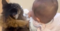 生まれたばかりの赤ちゃんを優しく見守る元野良猫→赤ちゃんが成長していくと…"心温まる光景"に「泣けるうぅ」「猫も子守りするんだ」と反響