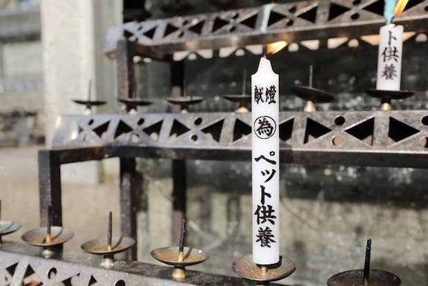 寺院のペット供養のろうそく