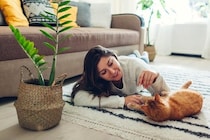 猫の『分離不安症』が疑われる症状7つ　放置すべきでない理由や飼い主が取るべき対処法