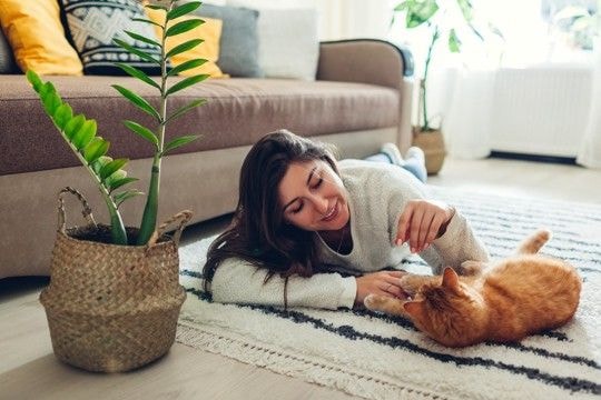 猫の『分離不安症』が疑われる症状7つ　放置すべきでない理由や飼い主が取るべき対処法