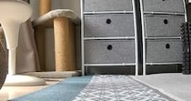 ペットカメラを覗いたら、猫が予想外の場所からカメラを見つめていて…衝撃の光景に１万いいね「目が合ってしまった」「見つけた時の恐怖ｗ」