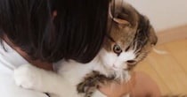 猫への愛が止まらない女の子→ぎゅーっと抱きしめると…とっても仲良しな『ふたりの様子』に「癒されるわぁ」「お互い幸せそう」と反響