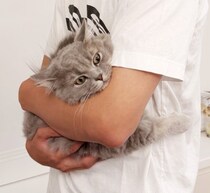 高橋克典、“抱っこされる愛猫”に「慣れたにょか！？ 目、怒ってるよな」