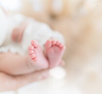 “生物学的な母親”持たない赤ちゃん、皮膚細胞から人間の卵子作る方法の研究進む