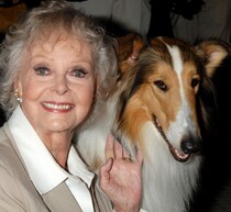 「名犬ラッシー」「宇宙家族ロビンソン」の米女優、100歳で死去