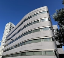 目黒蓮、“愛してやまないもの”語る「顔見てると、とんでもないくらいかわいくて」